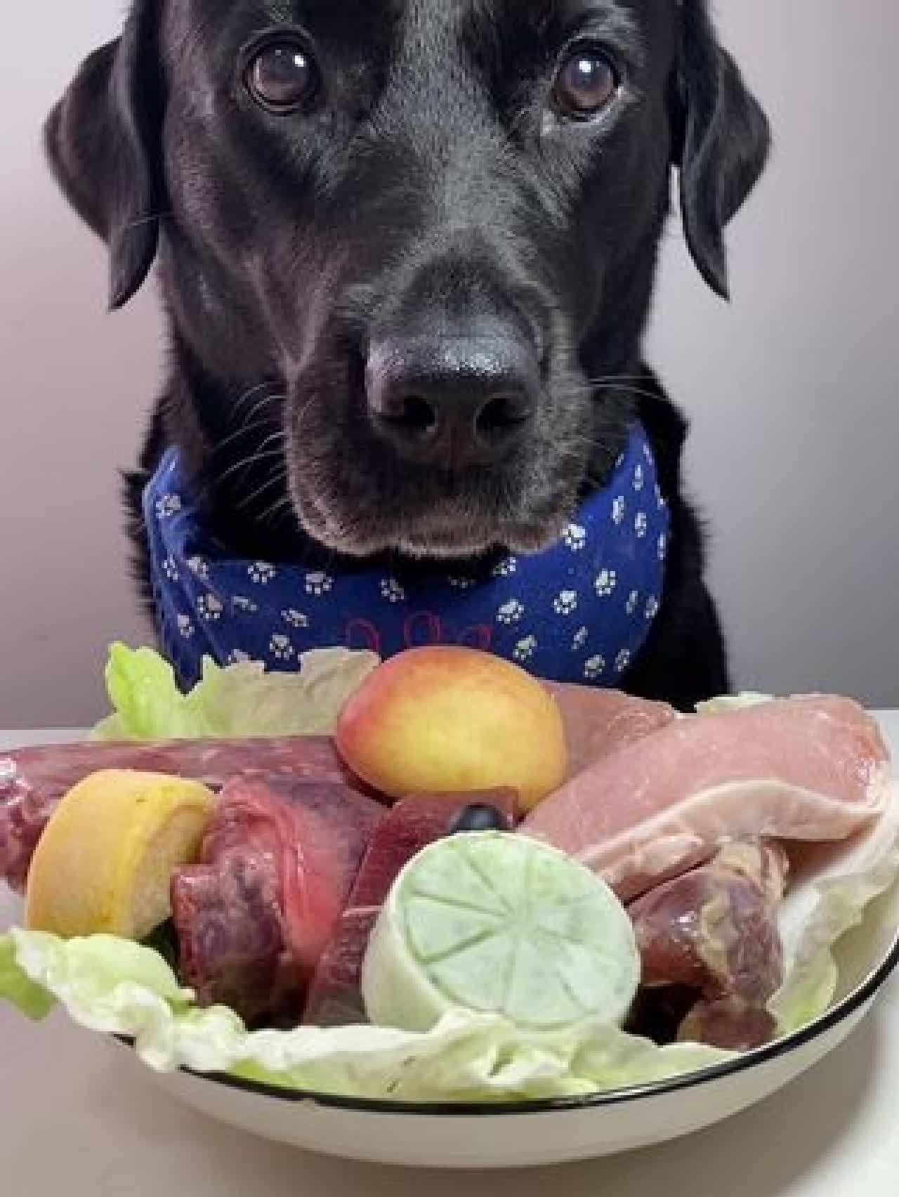 拉布拉多 #狗吃的比我好系列 #干饭狗的日常 #当你有只嘴馋小狗